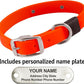 Biothane Custom Dog Collar – Waterproof, Stink-Proof Personalized Collar with Name & Phone Number – Durable, Many Sizes and Colors – Assembled in USA (Hunter Orange)