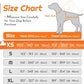 Eagloo Small Dog Harness No Pull, Service Vest with Reflective Strips and Control Handle, Adjustable and Comfortable for Easy Walking, No Choke Pet Harness with 2 Metal Rings, Orange, XS