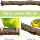BNOSDM Natural Wood Bird Ladder Perch 6Pcs Parrot Stand Branches Climbing Chewing Stick Parakeet Swing Toys Cage Accessories Paw Grinding Fork Sets for Lovebirds Cockatiels Conure Budgies