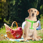 PUPTECK No Pull Dog Harness Soft Adjustable Basic Nylon Step in Puppy Vest Outdoor Walking with ID Tag, Green, L