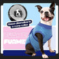 FUAMEY Recovery Suit for Dogs After Surgery,Soft Breathable Dog Bodysuit E-Collar & Cone Alternative Surgical Suit,Male Female Dog Neuter Spay Suits Anti Licking Wounds Onesie Navy Blue Strips XXL
