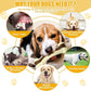Sosation 6 Pcs Dog Toys for Aggressive Chewers Nylon Beef Flavor Bones Tough Puppy Teething Toys Puppy Chew Bones for Large Medium Small Breed Dogs Puppies Pets Chew Toys(Small)