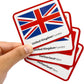 Menique Flags of Europe Memory Matching Game – 100 Cards (50 Pairs) with Flag, Country & Capital – Educational Geography Game for Kids and Adults