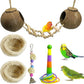 kathson 5Pcs Bird Coconut House with Ladder Parakeet Coconut Nest for Cages Parrot Hut Hanging Natural Coconut Fiber Conure Chewing Toys for Cockatiel Budgie Lovebird Cockatoos