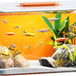 2.5 Gallon Fish Tank Small Aquarium Starter Kit with Hidden Filtration, 3 Color Light, Self Cleaning Nano Tank for Betta, Shrimp, Guppy, Angelfish