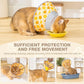 Avont Cat Cone Collar Soft to Stop Licking, Adjustable Foldable Lightweight Kitten Recovery Collar After Surgery for Small Dogs, Elizabeth Cone of Shame Alternative -Orange(L)