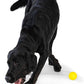 WEST PAW Boundr Ball Dog Fetch Toy – Bouncing Toys for Dogs, Fetch, Catch, Chewing, Play – Floatable, Recyclable Balls – Small Aqua Blue/Dandelion Yellow 2-Pack