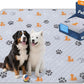 Washable Pee Pads for Dogs, 1 Pack Absorbent Reusable Training Dog Pads Pet Puppy Pads, Non-Slip Potty Pads for Whelping, Playpen, Crate, Bed, Orange, 63"x63"