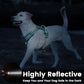No Pull Dog Harness, Reflective Puppy Vest for Small Medium Large Sized Dog(MARRS Green,S)
