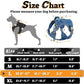 rabbitgoo Dog Harness for Large Dogs No Pull, Tactical Service Pet Vest with Molle and Control Handle, Adjustable and Reflective Military Harness for Easy Walking and Training, Blue, L