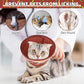 KOOLTAIL Cat Cone Collar Soft, Adjustable Cat Cones to Stop Licking, Foldable Donut Water Resistant Pet Recovery Neck E Collars After Surgery, Kitten Elizabethan Collar for Small to Large Cats,Brown L