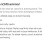 UltraCruz® Equine Ichthammol, 32 oz