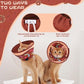 EXPAWLORER Cat Recovery Cone Collar- Soft Adjustable Pet Collar for After Surgery, Waterproof Elizabethan Protective Collar, Stop Licking Donut for Small Medium Kittens