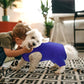 Nanaki Dog Wound Care Shirt, Dog Leg Sleeve To Stop Licking Rear Leg And Abdomen, Doggy Surgery Suit Female Spay,Doggy Onesie For Surgery Female Male, Pet Surgical Recovery Suit Pet Wound Heal Clothes
