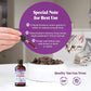 Special Breed L-Lysine for Cats & Kittens – Immune, Respiratory & Eye Health Support – Liquid Cat Supplement with Astragalus, Burdock, Atractylodes, Dangshen & Vitamins A, B1, B2, B6 – 2oz (60mL)