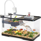 (Tank + Light + Filter Balls) Turtle Tank Kit, Turtle Tank Starter Kit,Bottom Drainage, Multi-Function Areas for Turtles, Crabs,Fishes, Amphibians,Reptiles. (11.81 × 7.88 × 7.88 Inch)