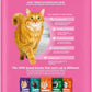 Iams IAMS PROACTIVE HEALTH Adult Sensitive Digestion & Skin Dry Cat Food with Real Turkey Cat Kibble, 3 lb. Bag