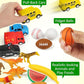 Coogam Sorting Toy for Toddlers, Animals Dinosaurs Fruits Vehicles Foods Fishes Balls Farm Playset, Fine Motor Montessori Game Preschool Educational Learning Gift for Year Old Kids