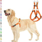 PUPTECK No Pull Dog Harness Soft Adjustable Basic Nylon Step in Puppy Vest Outdoor Walking with ID Tag Medium Orange