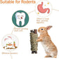 Fhiny 12 PCS Guinea Pigs Chew Toys, Natural Apple Branch Seagrass Molar Sticks for Teeth Bunny Chew Toys Cage Accessories for Guinea Pigs Rabbit Bunny Hamster Chinchilla