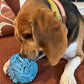 Puppy and Small Breed Snuffle Interactive Foraging Dog Puzzle Ball Toy Blue