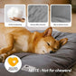 FUNNY FUZZY 30x20 Washable Dog Bed Crate Mat, 2 in1 Pet Pillow Sleeping Bed, Fluffy Deluxe Kennel Mattress for Medium Dog and Cat,Charcoal Grey,M