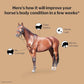 Formula 707 Weight Gain Crumble Equine Supplement, 7 lb Bag – Palatable, Calorie-Rich Nutritional Support for Hard-to-Keep and Senior Horses
