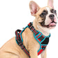 Eagloo Dog Harness Medium Sized, Easy Wearing with 3 Buckles, Adjustable No Pull Pet Harness with 2 Rings for Walking, No Chock Reflective Soft Padded Vest with Control Handle, Red & Teal, M
