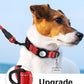 TagME Airtag Dog Collar,Waterproof Reflective Pet Collar with Airtag Holder,Soft Padded and Double D-Rings for Small Dogs,Red