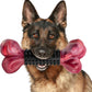 Apasiri Tough Dog Toys for Aggressive Chewers Large Breed, Dog Chew Bone with Bacon Flavor, Nylon & Rubber Chew Toy for Medium Large Dogs