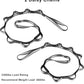 F.Life Aerial Silk Yoga Hammock & Swing for yoga Inversion,Strength training,starter hardware kit