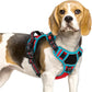 Eagloo Dog Harness Small Sized, Easy Wearing with 3 Buckles, Adjustable No Pull Pet Harness with 2 Rings for Walking, No Chock Reflective Soft Padded Vest with Control Handle, Red & Teal, S