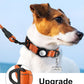 TagME Airtag Dog Collar,Waterproof Reflective Pet Collar with Airtag Holder,Soft Padded and Double D-Rings for Puppy,Orange
