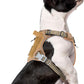 BUMBIN Tactical Dog Harness for Small Dogs No Pull, Famous TIK Tok No Pull Puppy Harness, Fit Smart Reflective Pet Walking Harness for Training, Adjustable Dog Vest Harness with Handle Brown S