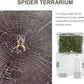 balacoo 8 Sets Jumping Spider Enclosure: Spider Cage Habitat Jumping Terrarium Micro Scorpion Droppers Reptile Hide Clear Enclosure Breeding Box Case with Breeding Tweezers