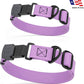 Dogline Biothane Waterproof Dog Collar with Herm Sprenger Black Stainless Steel Quick Release Buckle – Heavy Duty Tactical Durable Collar for Dogs – Comfortable, Safe Pet Collar W3/4" L12-19 Amethyst