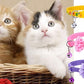 16 PCS Cute Cat Collars Breakaway with Bell for Boy Cats and Girl Cats Gifts
