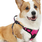 PUPTECK No Pull Dog Harness Medium Sized, Adjustable Reflective Dog Harness with Handle Easy Control, Comfortable Soft Padded Pet Vest Harness for Medium Dogs, Fuschia M
