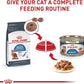 Royal Canin Feline Weight Care Thin Slices in Gravy Canned Adult Wet Cat Food, 5.1 oz can (24-Count)