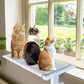 Heavy-Duty Cat Window Sill Perch All-Metal Frame Supports up to 120 lbs – Durable, Easy-to-Assemble Cat Window Hammock for Large Cats and Multiple Cats (L 1PC)