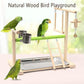 Birds Playground Parrot Playstand Birds Perch Stand Gym Natural Wood Play Stand with Ladder Swing Feeder Cups for Parakeets Cockatiels Lovebirds Conures Budgies