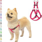 PUPTECK No Pull Dog Harness Soft Adjustable Basic Nylon Step in Puppy Vest Outdoor Walking with ID Tag X-Small DeepPink