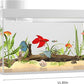 Smart Fish Tank Aquarium Kit with APP Control and Auto Feeder - 1.5 Gal Fish Tank Multi-Layer Filtration System Silent Pump & UHD Glass - 16 Million DIY Colors Includes Mini Magnetic Scrubber Scraper