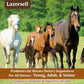 Probiotics for Horses Dietary Supplement, All-Natural Digestive System Maintenance Formula Equine Digestion Support Horse Health Supplements (90 Days)