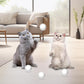 Cat Ball Toy Cat Track Balls Replacement Track Balls for Turbo Round Scratcher Toy (4 pcs), White