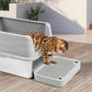 Cat Litter Box Ramp Mat with Filter Function, Cat Step Pedal Stool for Self-Cleaning Litter Box, Easy to Clean, Ideal for Kitten & Elderly Cats (Light Grey)
