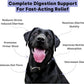Kayode Ultimate Digestion. Fast Facting Anti Diarrhea for Dogs. Dog Fart Remedy & Dog Gas Relief. Natural Nutrients for Healthier, Firmer Stools. Pumpkin & Digestive Enzymes for Dogs.