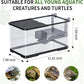 (Tank + Light + Filter Balls) Turtle Tank Kit, Turtle Tank Starter Kit,Bottom Drainage, Multi-Function Areas for Turtles, Crabs,Fishes, Amphibians,Reptiles. (11.81 × 7.88 × 7.88 Inch)