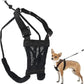 Sporn Extra Small Dog Harness No Pull - Easy & Adjustable for Growing Puppies, Lightweight, Breathable, Durable Nylon, Black Mesh Body, XS Size, Anti-Pull Dog Harness for Puppies & Small-Sized Breeds