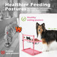 SHAINFUN Pink Elevated Dog Bowl Stand with Two 1700ml Stainless Steel Food Bowls, Slow Feeder and Spill Proof Mat, Adjustable Feeder for Large, Medium and Small Dogs